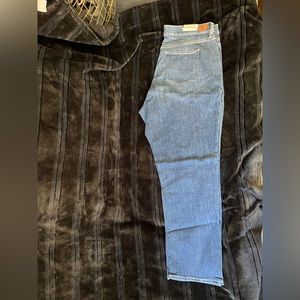 Ralph Lauren premier Straight woman curvy